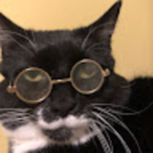 Meet your Posher, Mallory